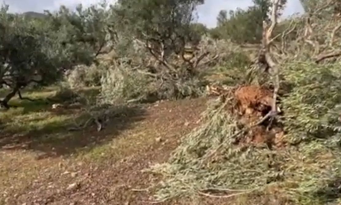 Ανεμοστρόβιλος «σάρωσε» τη Ζάκρο – Ζημιές σε ελαιώνες και περιουσίες