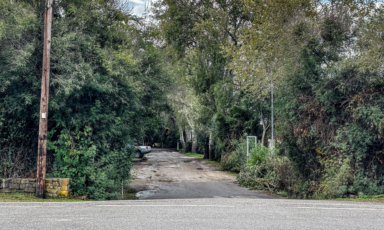 Φοινικούντα: «Δεν μπορώ να πιστέψω ότι είναι μπλεγμένος άνθρωπος από την οικογένεια», λέει η ανιψιά