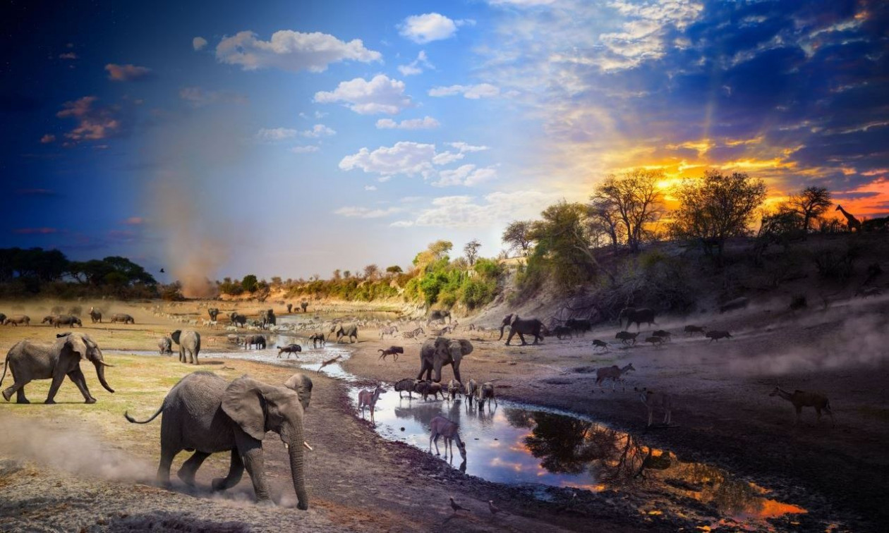 Το National Geographic αποκάλυψε τις φωτογραφίες της xρονιάς – Δείτε 7 από τις πιο εντυπωσιακές