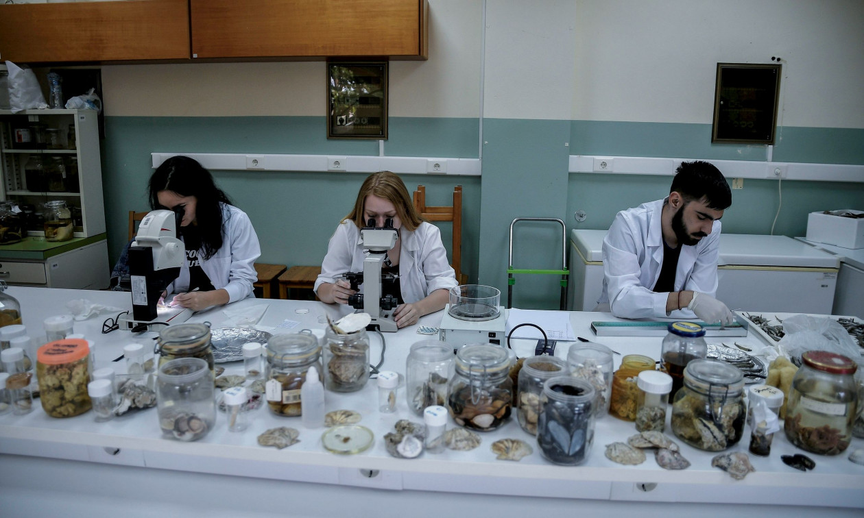 ΥΠΑΑΤ: 26 εκατ. ευρώ για το πρόγραμμα μεταποίησης προϊόντων αλιείας και υδατοκαλλιέργειας