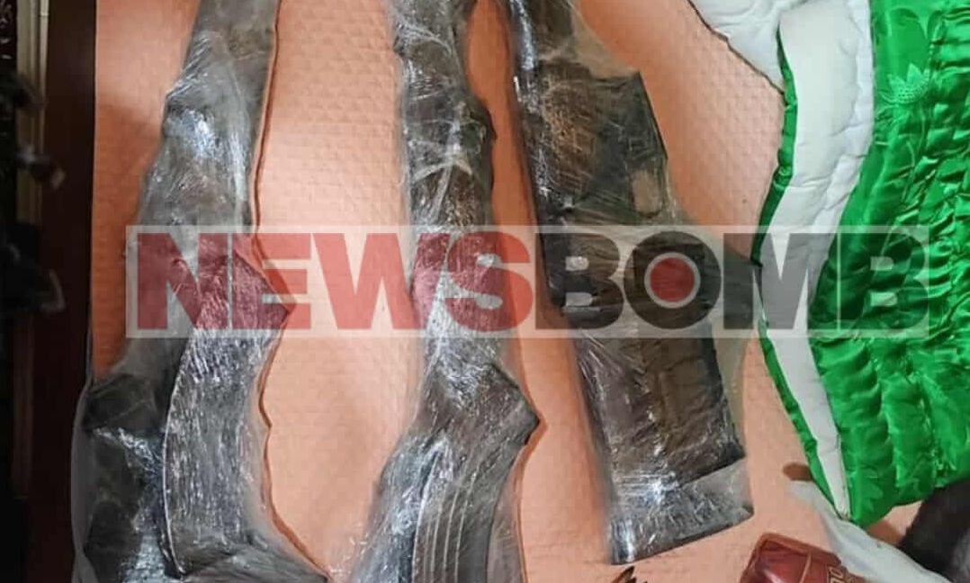 Νέα γιάφκα του «Δήμου» στην Αλβανία – Βαρύς οπλισμός στο σπίτι του εκτελεστή της Greek Mafia