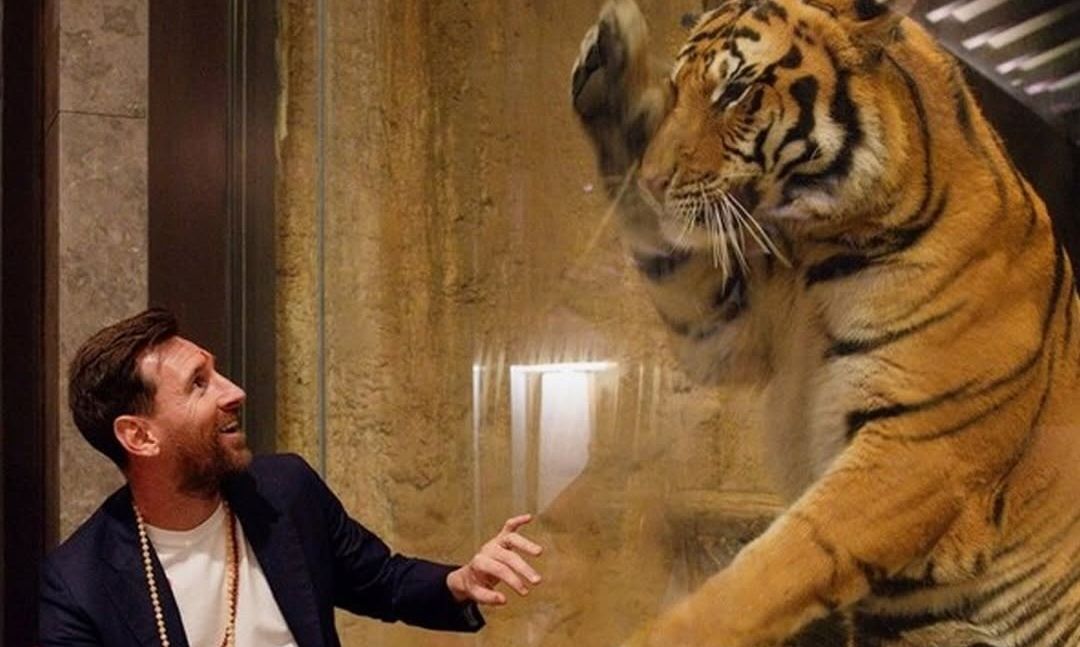 Λιονέλ Μέσι: Το viral παιχνίδι με ελεφαντάκι και η «βάφτιση» ενός λιονταριού με το όνομά του