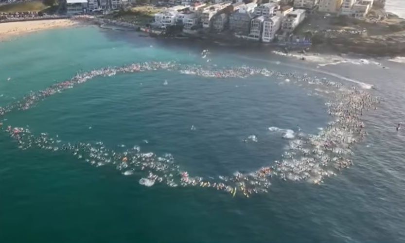 Μακελειό στην Αυστραλία: Σέρφερ και κολυμβητές σχημάτισαν «κύκλο ζωής» στον ωκεανό