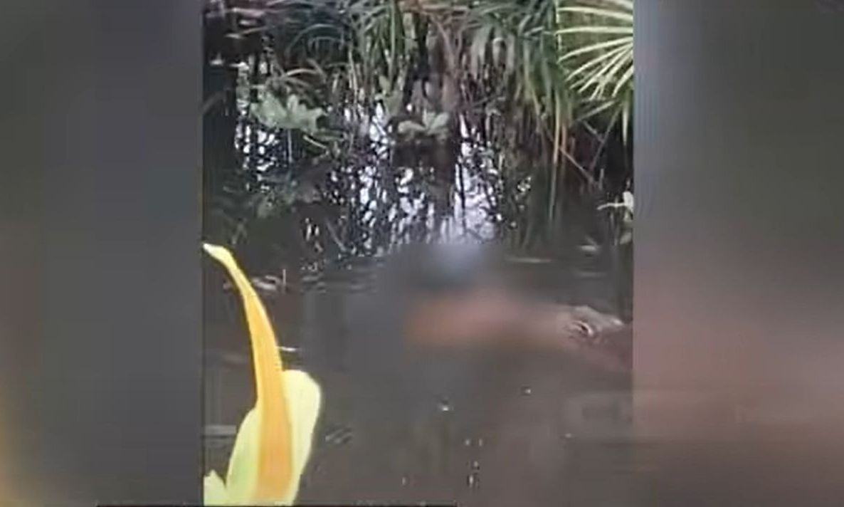 Ινδονησία: Κροκόδειλος κατασπάραξε 10χρονο αγόρι μπροστά στους φίλους του – Σκληρό βίντεο