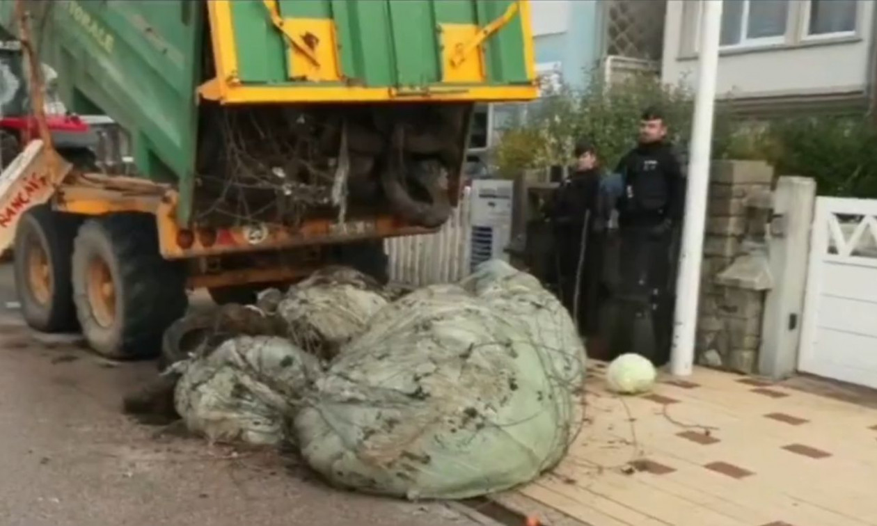 Μπλόκα αγροτών αλά… γαλλικά: Κοπριά και λάχανα έξω από το σπίτι του Μακρόν – Βίντεο