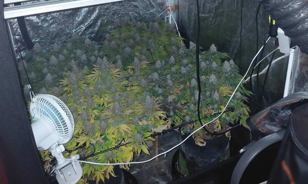 Συνελήφθη Υπαρχιπυροσβέστης και δύο ακόμη για διακίνηση ναρκωτικών