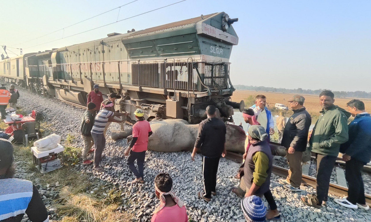 Ινδία: Νεκροί επτά ελέφαντες μετά από σύγκρουση με επιβατικό τρένο – Εκτροχιάστηκαν πέντε βαγόνια