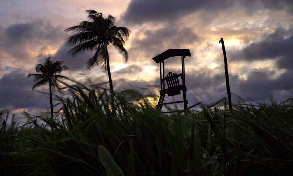 Τεράστιος πύθωνας «τρομάζει» γειτονιά στη Φλόριντα