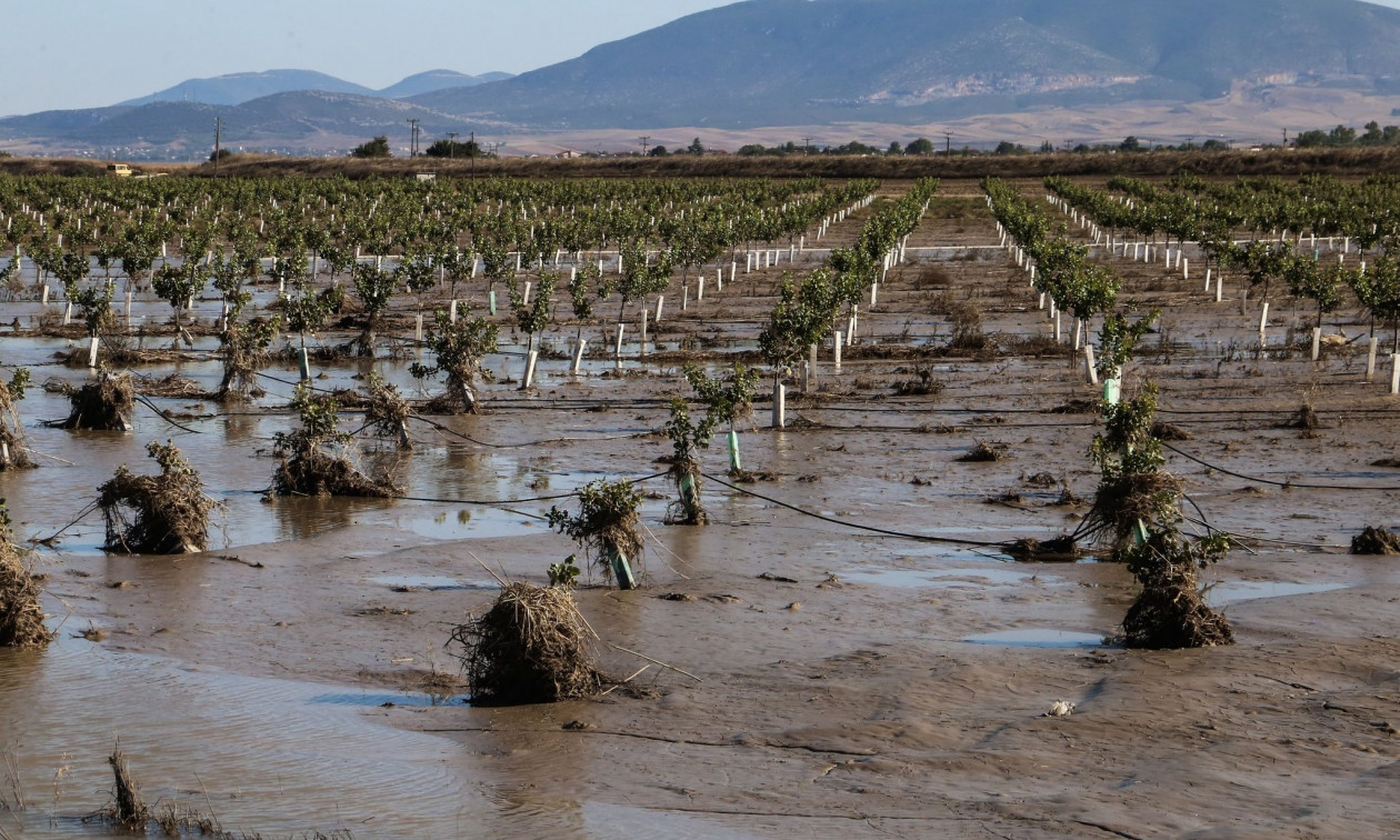 myBusinessSupport: Άνοιξε για τον Β κύκλο στήριξης επιχειρήσεων που επλήγησαν από τον Daniel