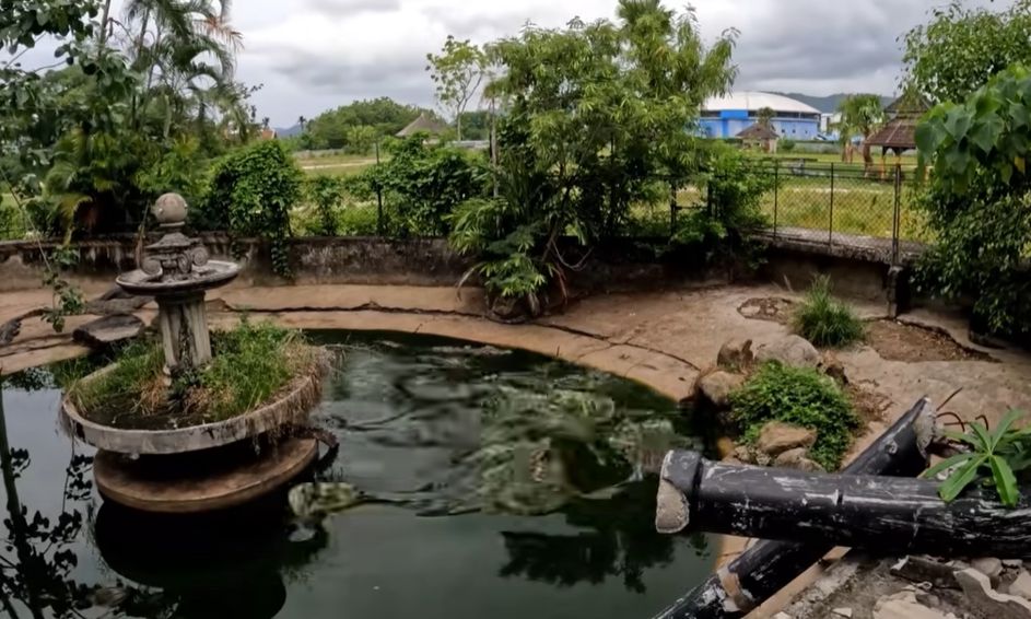 Ταϊλάνδη: Νόμιζε ότι ήταν μόνος σε εγκαταλελειμμένο ζωολογικό κήπο, αλλά έκανε λάθος