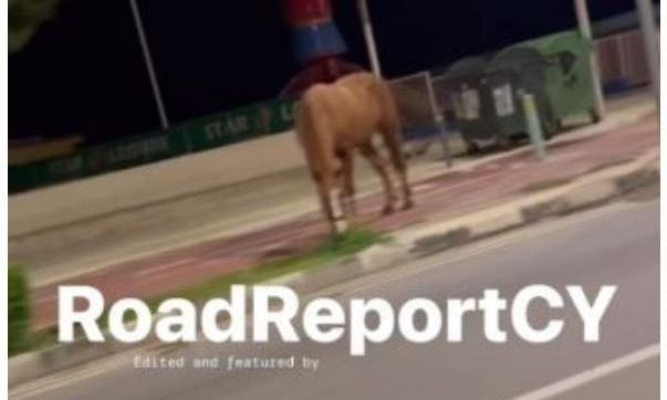 Κύπρος: Άλογο κυκλοφορούσε ελεύθερο στους δρόμους του Πρωταρά – Βίντεο