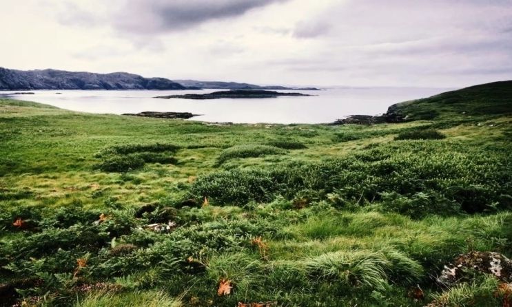 Μισθός 30.000 ευρώ για 6 μήνες: Ζητούνται άτομα για εργασία σε έρημο νησί