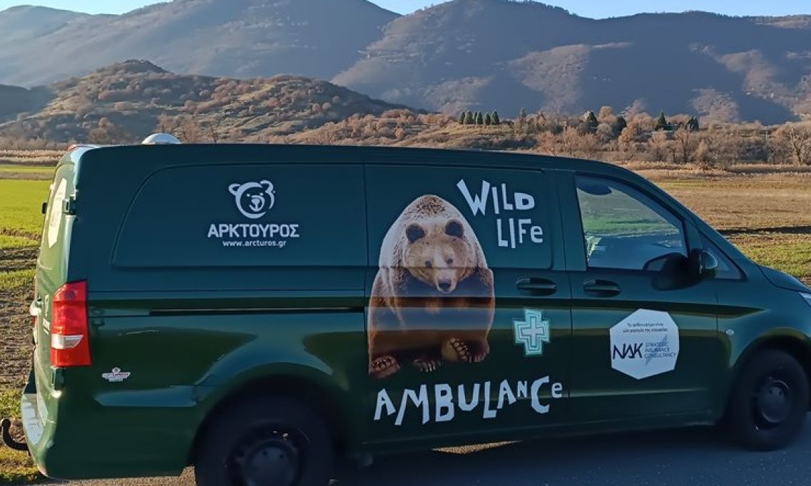 Ο Αρκτούρος αποκτά το πρώτο ασθενοφόρο για αρκούδες, λύκους, ζαρκάδια και ελάφια
