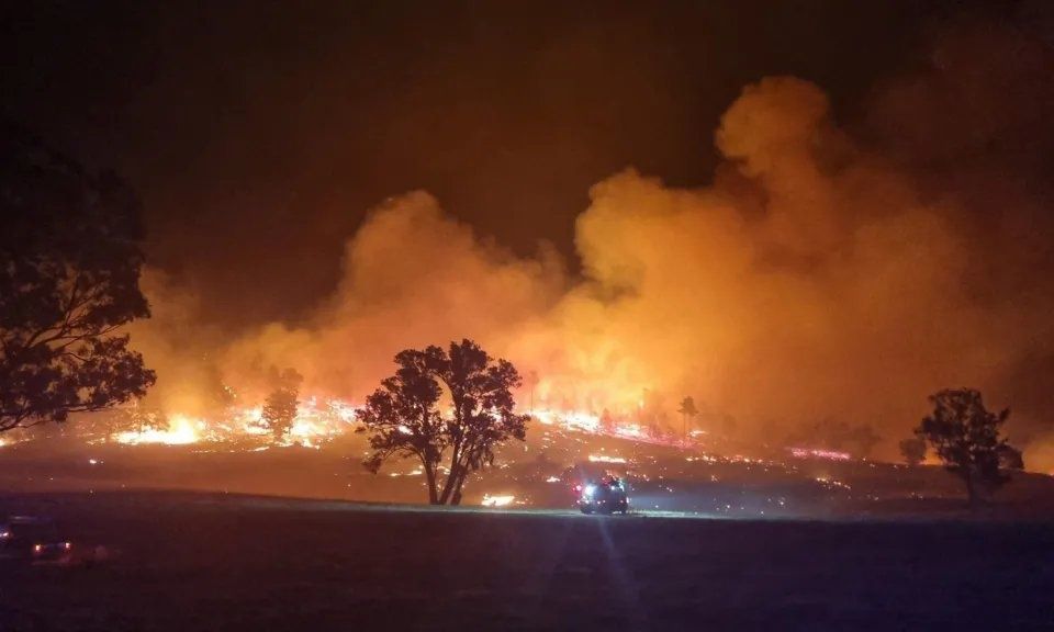 Καταστροφικές πυρκαγιές στην Αυστραλία: Δεκάδες χιλιάδες στρέμματα δάσους έγιναν στάχτη – Βίντεο