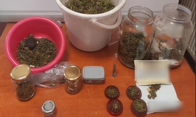 Βόλος: «Καλλιεργώ χασίς για να μην έχω άναγκη τα κυκλώματα» ισχυρίστηκε 61χρονος στον εισαγγελέα