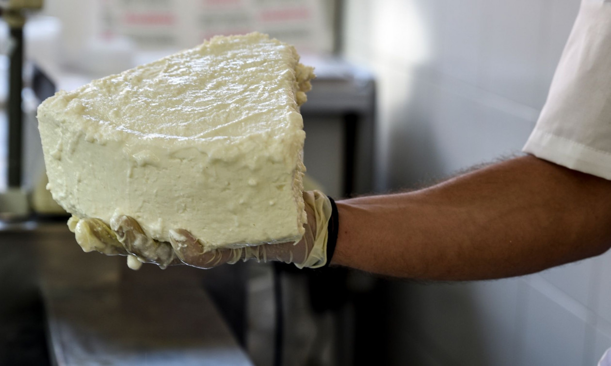 Mercosur: Τρία μέτρα προστασίας των Ελλήνων παραγωγών παρουσιάζει το υπουργείο Αγροτικής Ανάπτυξης