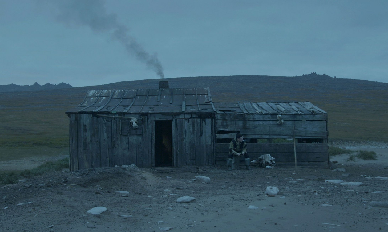 CineFIX στο ΕΜΣΤ: Why Look at Animals? – Σινεμά και συζήτηση για τα δικαιώματα των ζώων