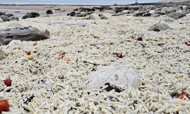 Bρετανία: Χιλιάδες τηγανητές πατάτες ξεβράστηκαν σε παραλία – Το ασυνήθιστο θέαμα