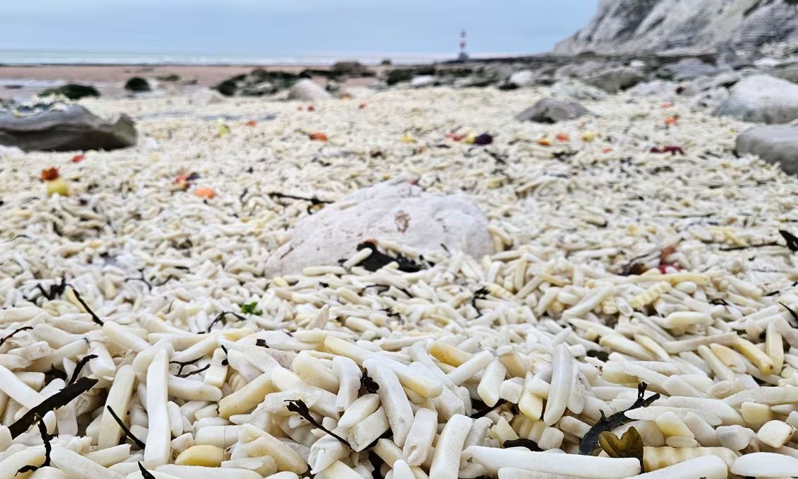 Αγγλία: Χιλιάδες τηγανητές πατάτες και κρεμμύδια ξεβράστηκαν σε παραλία