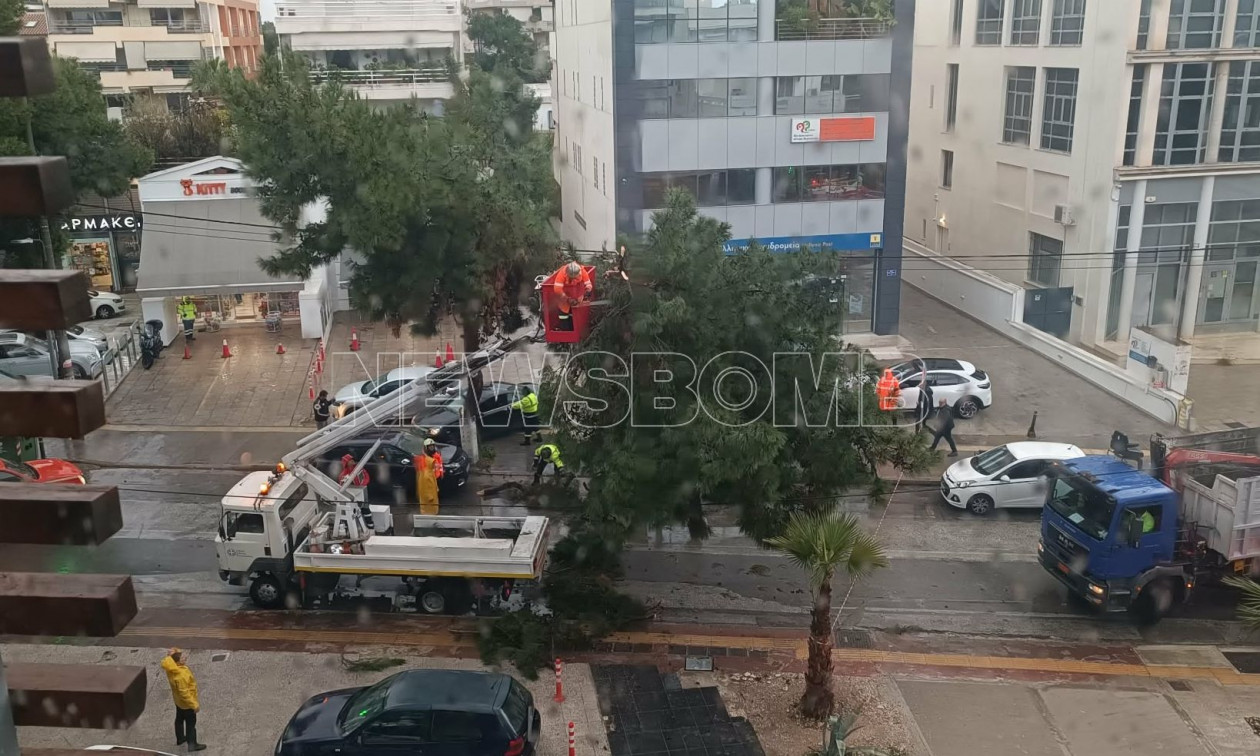 Έπεσε δέντρο στη Βούλα λόγω της ισχυρής νεροποντής – Αποκλεισμένη η οδός Βασιλέως Παύλου