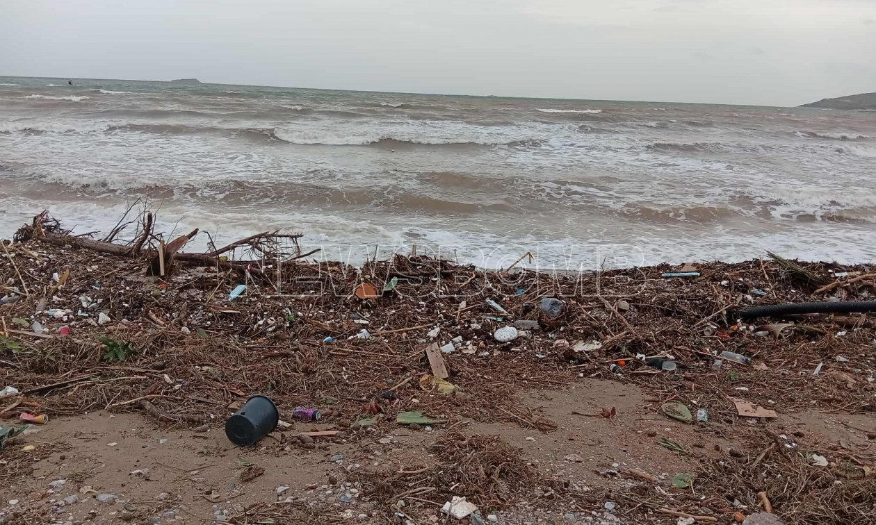 Κακοκαιρία στην Αττική: Πτώσεις δέντρων στην παραλία της Βάρκιζας – Γέμισε σκουπίδια η ακτή