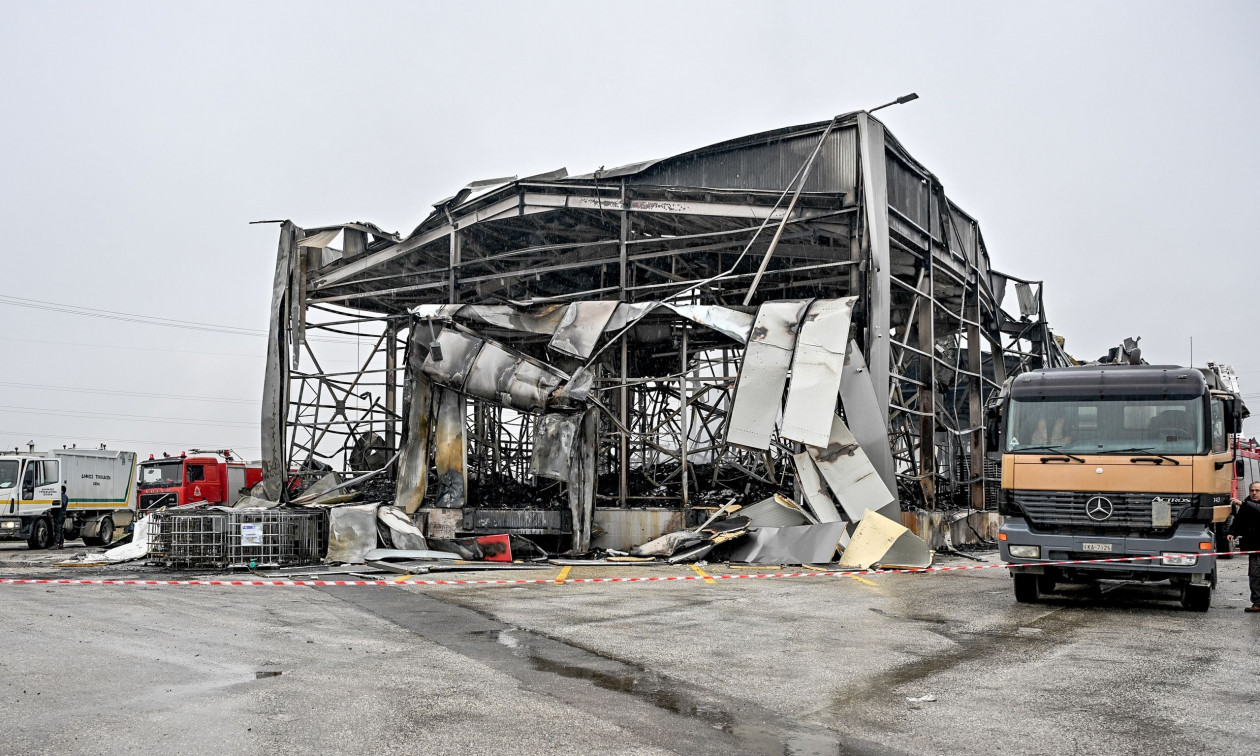 Βιολάντα: Οι αποφάσεις της Περιφέρειας Θεσσαλίας για την άδεια και τις δεξαμενές