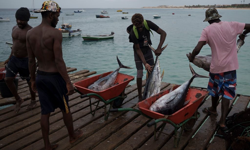 Ασθένεια του Πράσινου Ακρωτηρίου: «Θερίζει» τους τουρίστες – Προειδοποίηση από οικογένεια Βρετανίδας