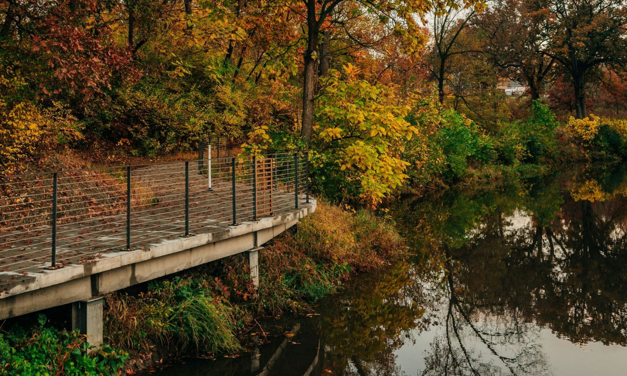 Αϊόβα: Ένα μικροσκοπικό ψάρι «ανέστησε» τις χαμένες λίμνες