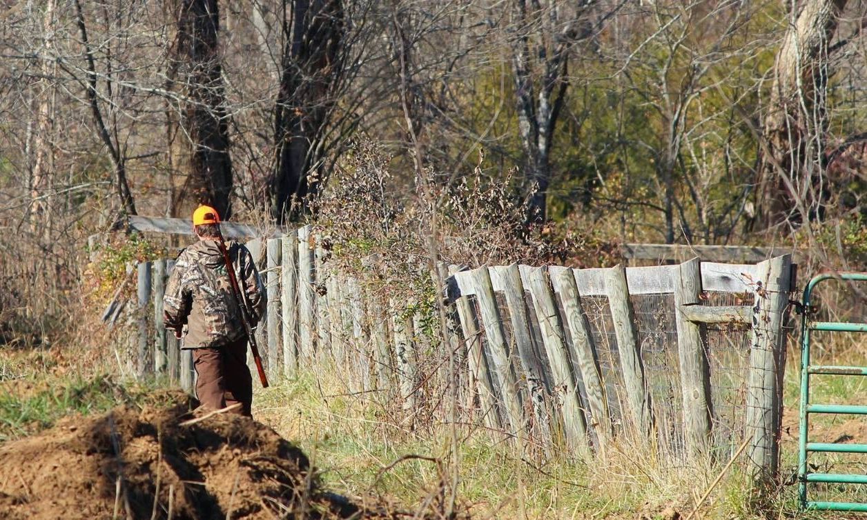 Εύβοια: Κυνηγός τραυματίστηκε από βόλι σε κυνήγι αγριόχοιρου – Υποβλήθηκε σε χειρουργική επέμβαση