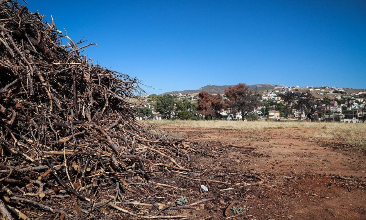 Καθαρισμός οικοπέδων: Τι αλλάζει με το νέο νομοσχέδιο – Μέχρι πότε παρατείνεται η δήλωσή τους