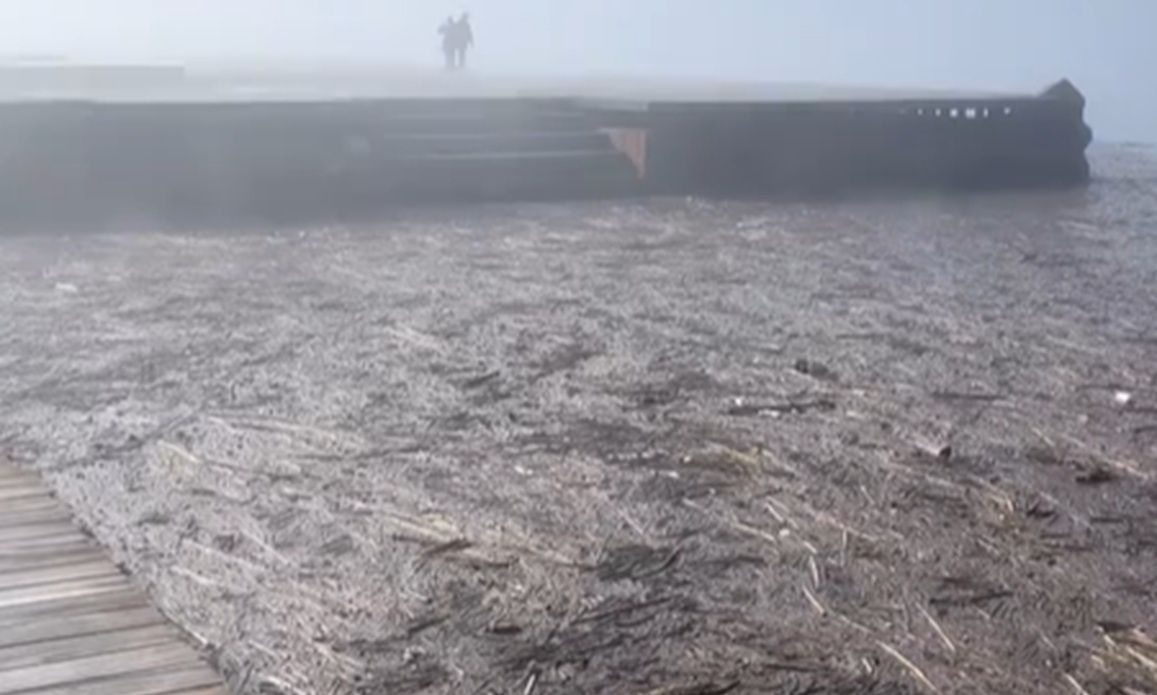 Θεσσαλονίκη: Αποκρουστικές εικόνες στην παραλία – Γέμισε σκουπίδια ο Θερμαϊκός