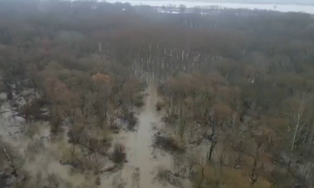 Έβρος: Έσπασε ανάχωμα στον κάμπο Χειμωνίου – Βίντεο από τις πλημμυρισμένες εκτάσεις