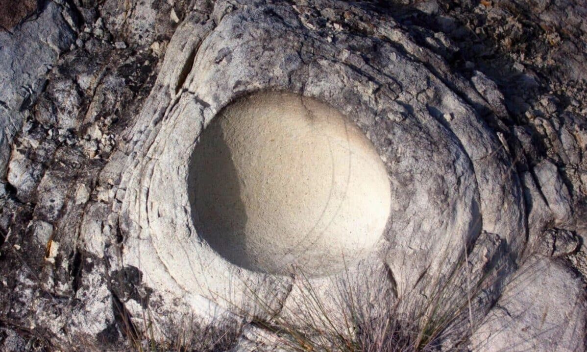 Επιστήμονες βρήκαν αυγό δεινοσαύρου μέσα σε άλλο αυγό – Ήταν θαμμένο για 68 εκατομμύρια χρόνια