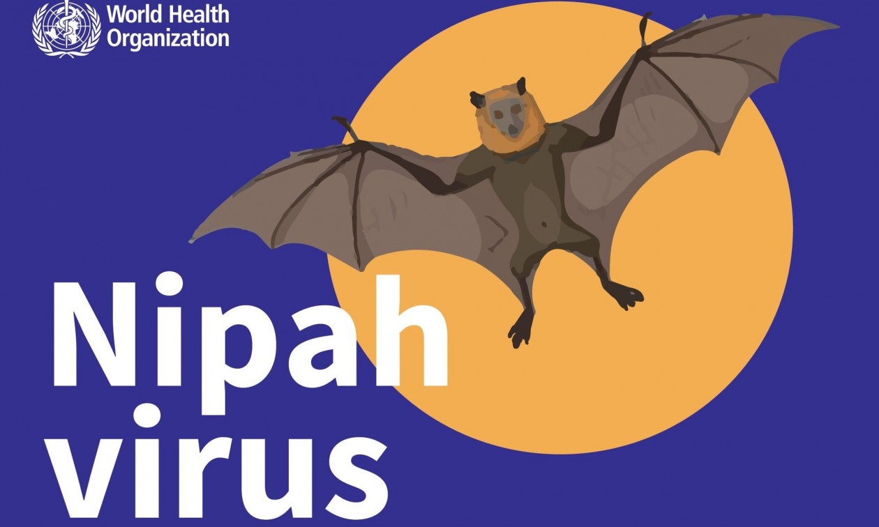 Ιός Nipah: Πώς τον αξιολογεί ο ΠΟΥ μετά τα κρούσματα σε Ινδία και Μπαγκλαντές