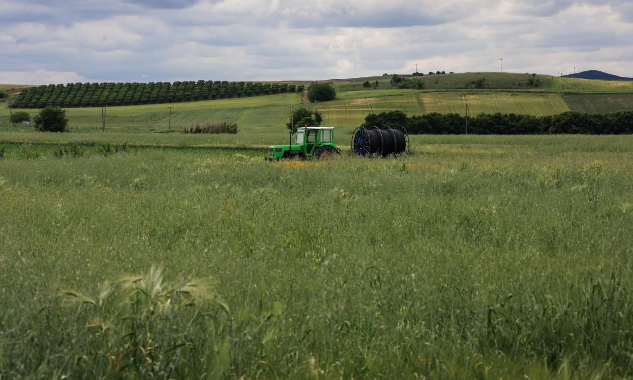 ΑΑΔΕ: Ανοίγει εκ νέου η πλατφόρμα myBusinessSupport για διορθώσεις σε αγροτεμάχια έως 20 στρέμματα