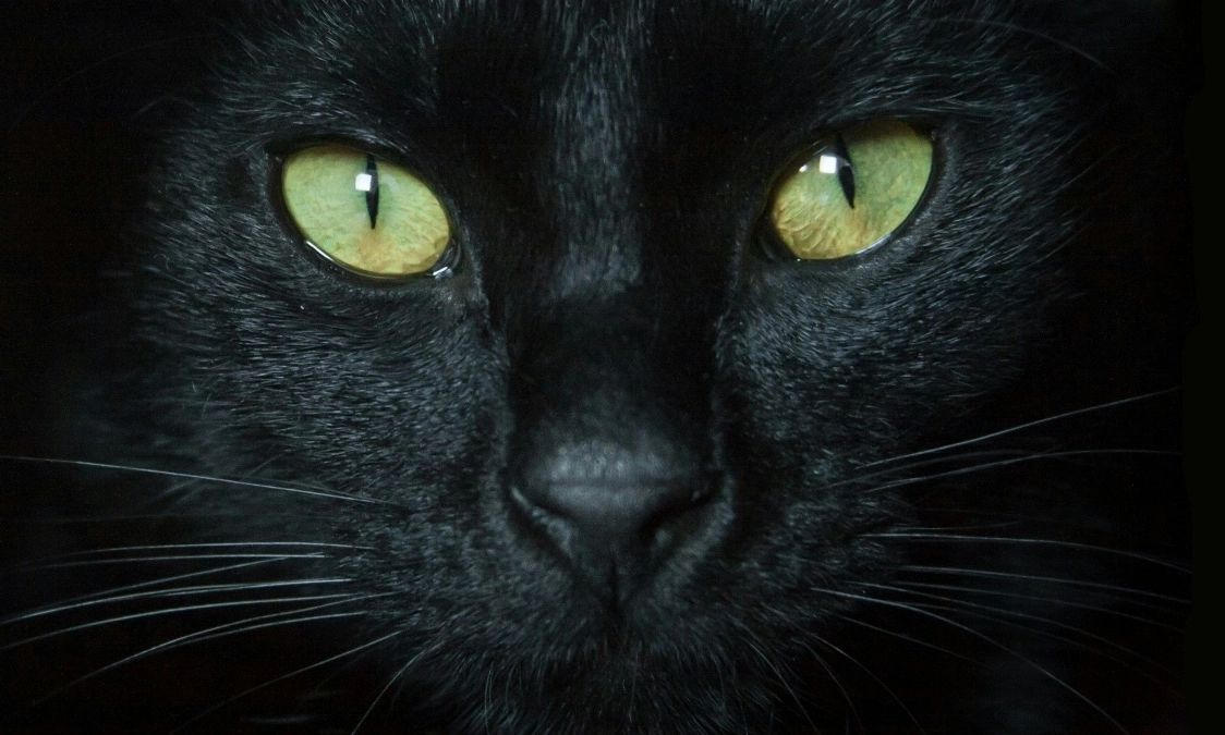 Γιατί οι Έλληνες φοβούνται την Τρίτη και 13 και ο υπόλοιπος κόσμος την Παρασκευή και 13;