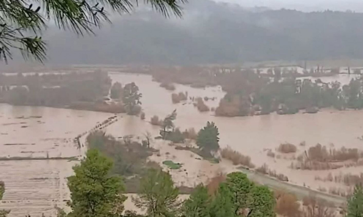 Υπερχείλισε ο Αλφειός στην Ηλεία: Πλημμυρικά φαινόμενα στο Πλουτοχώρι – Προβλήματα στη Γορτυνία