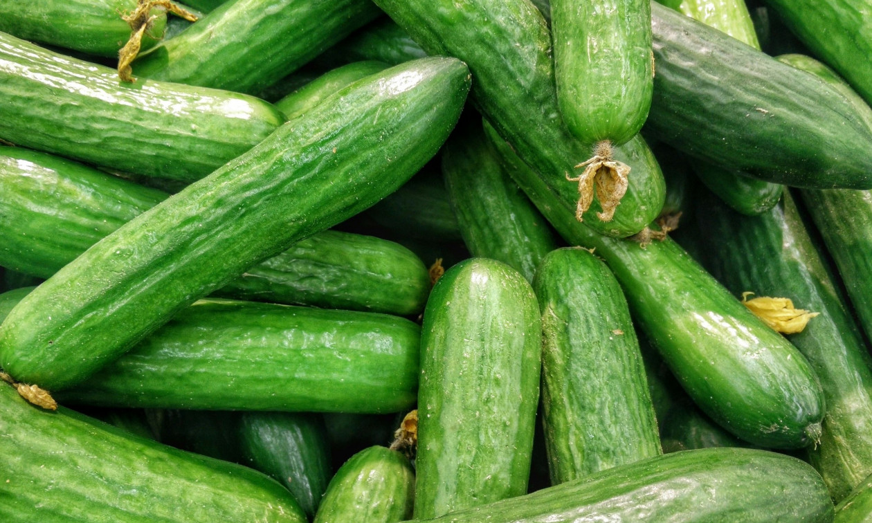 Ρωσία: Αγγούρια από χρυσάφι εν καιρώ πολέμου – Εφημερίδα προσέφερε στους αναγνώστες της σπόρους