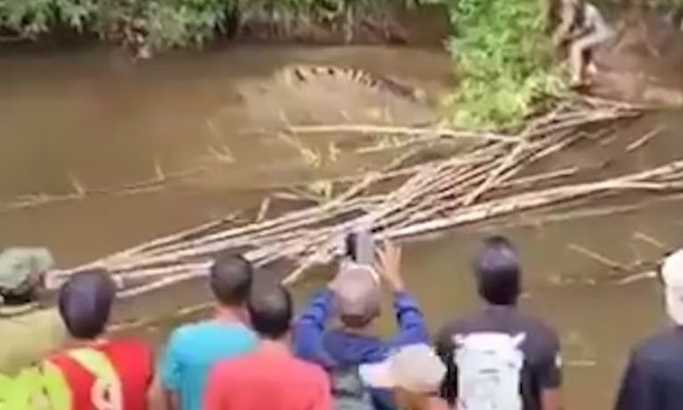 Ινδονησία: Κροκόδειλος 4 μέτρων κατασπάραξε 35χρονη που μάζευε μύδια σε ποτάμι – Σκληρά πλάνα