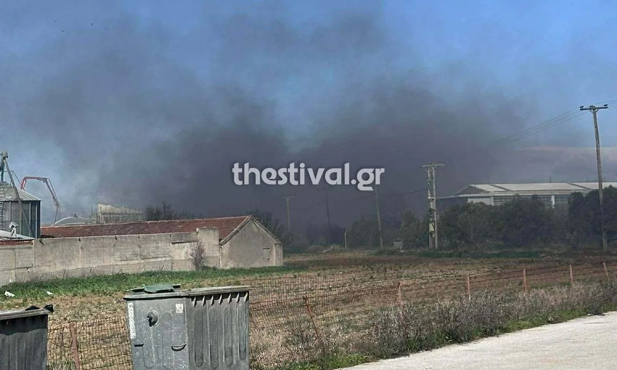 Θεσσαλονίκη: Τραυματίστηκε πυροσβέστης από τη φωτιά σε βιοτεχνία στα Διαβατά