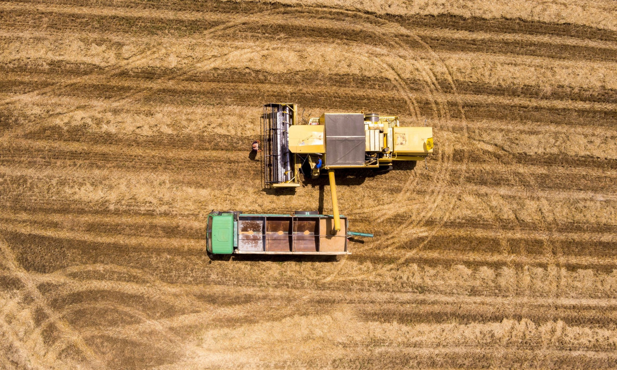 ΑΑΔΕ: Έλεγχοι Monitoring στα αγροτεμάχια της ΕΑΕ 2025 – Αναλυτικές οδηγίες λήψης φωτογραφιών