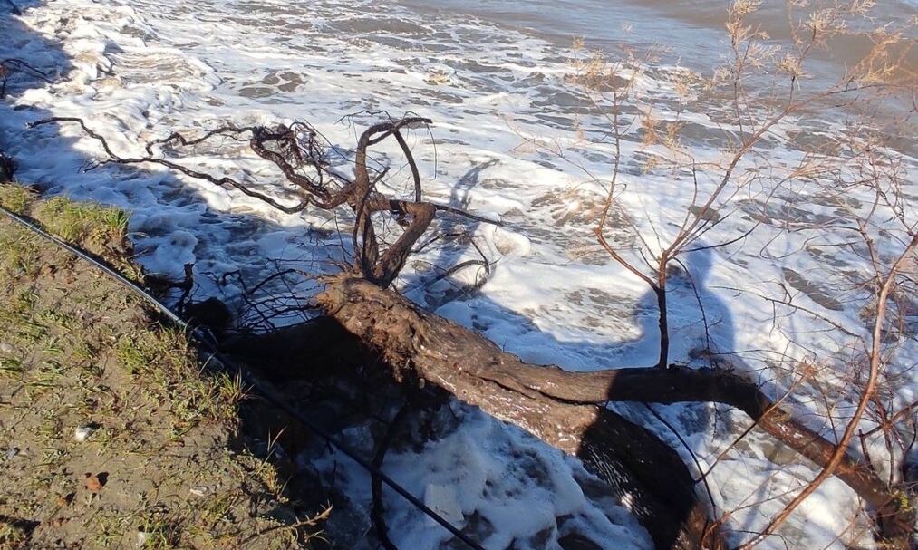 Λάρισα: Η θάλασσα βγήκε στη στεριά και …κατάπιε αυλές και σπίτια σε παραλιακό οικισμό