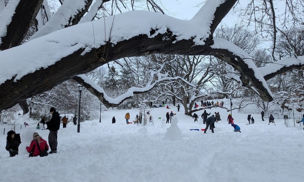 «Θάφτηκε» κάτω από το χιόνι η ανατολική ακτή των ΗΠΑ – Ακυρώθηκαν πάνω από 5.000 πτήσεις