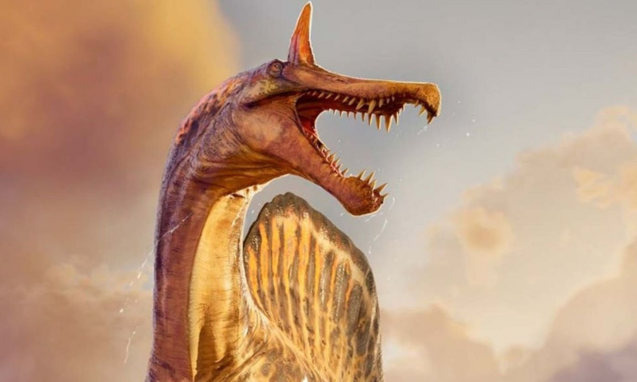 Ο «Ερωδιός της κόλασης»- Μυστηριώδης «δράκος» έζησε στην έρημο Σαχάρα πριν από 95 εκατ. χρόνια