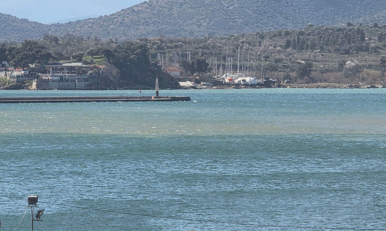 Βόλος: Καφέ κηλίδα εμφανίστηκε στο λιμάνι – Τι είπε το Λιμεναρχείο