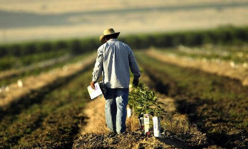 Κομισιόν σε Τσιόδρα: 205 εκατ. ευρώ για την προώθηση ευρωπαϊκών αγροδιατροφικών προϊόντων