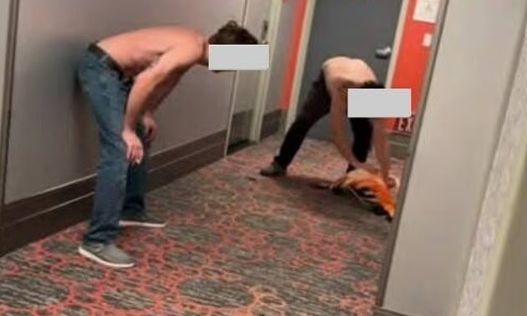 Λας Βέγκας: Βάναυση κακοποίηση φλαμίνγκο – Τουρίστας το έκλεψε για selfie και του έβαλε το φτερό