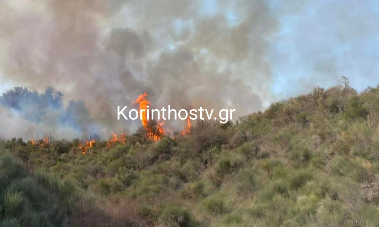 Φωτιά σε δασική έκταση στα Σοφιανά Κορινθίας