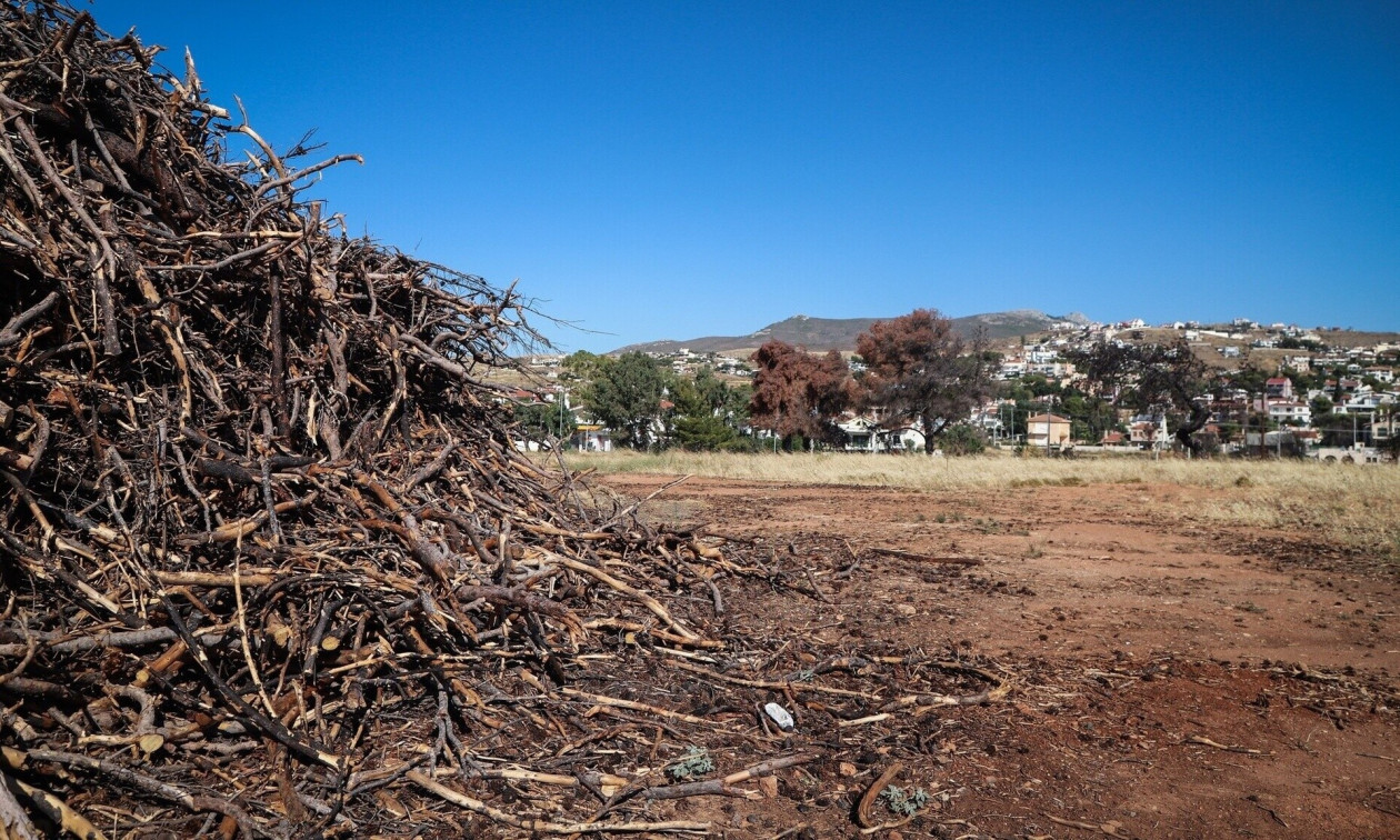 Ακαθάριστα οικόπεδα: Η ώρα του υποχρεωτικού καθαρισμού – Οι προθεσμίες και τα πρόστιμα που… καίνε