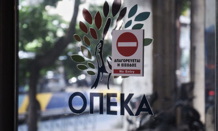 1722341-opeka.jpg